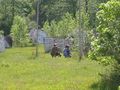 2006_04_23_Paintball_23.JPG