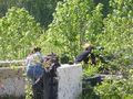 2006_04_23_Paintball_25.JPG