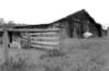 barn03.jpg