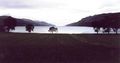 lochness5.jpg